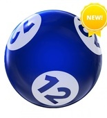 Houseball BINGO
